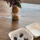 IMG_9231